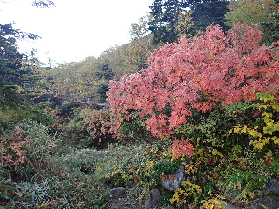 P9214496_mid.jpg