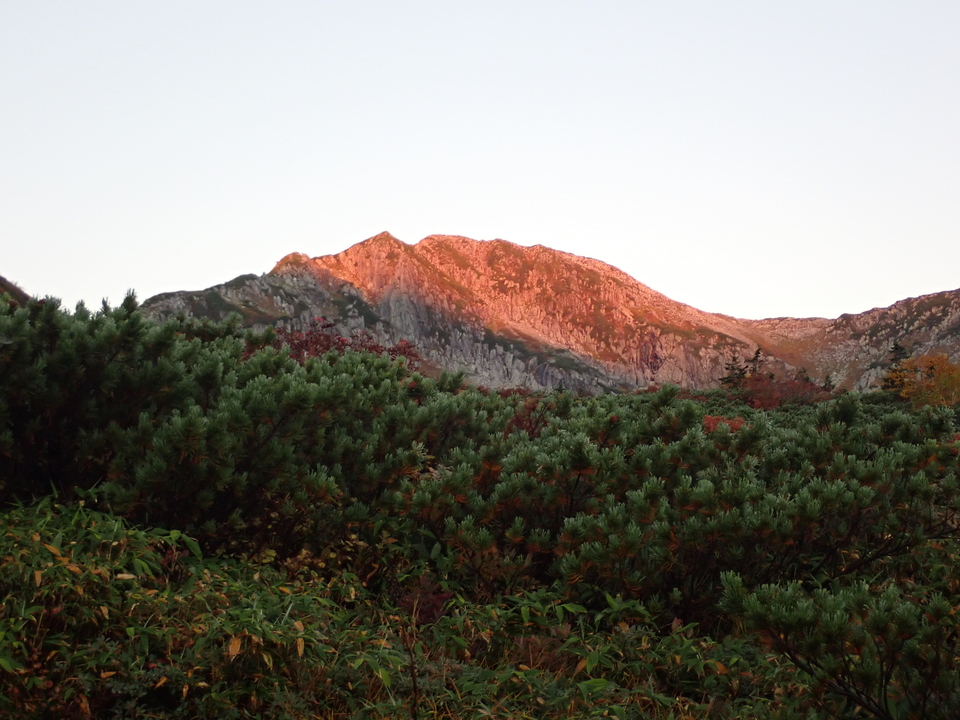 P9214504_mid.jpg