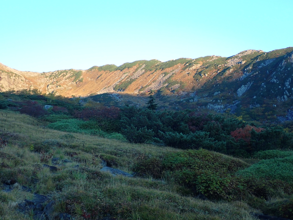 P9214524_mid.jpg
