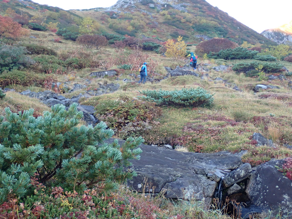 P9214525_mid.jpg