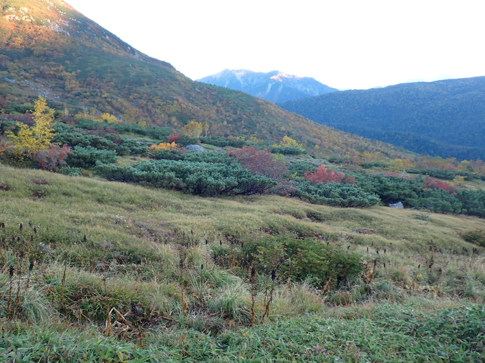 P9214535_mid.jpg