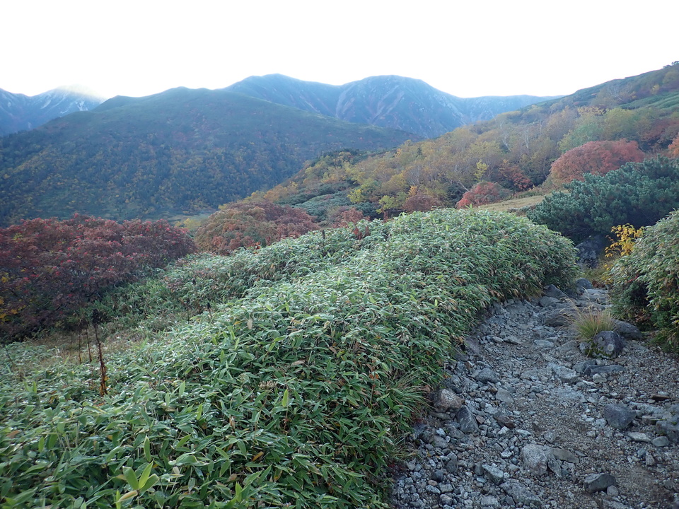 P9214537_mid.jpg