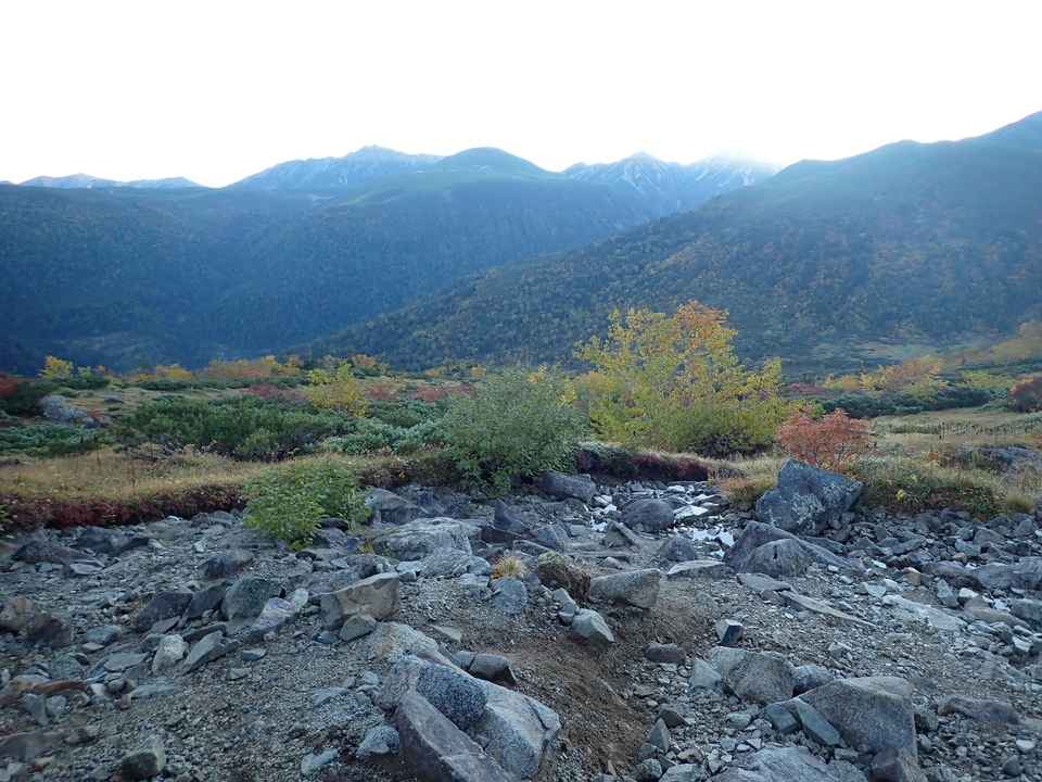 P9214545_mid.jpg