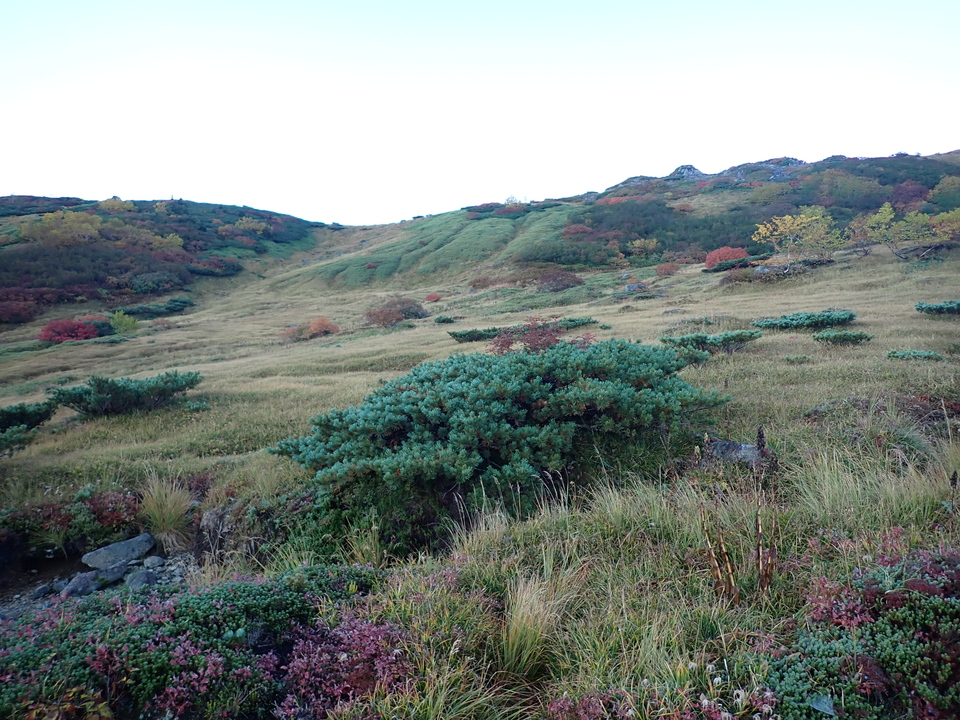 P9214553_mid.jpg