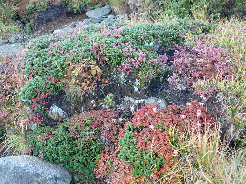 P9214556_mid.jpg