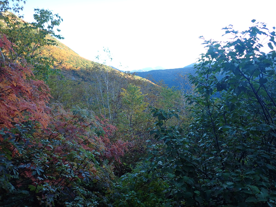 P9214563_mid.jpg
