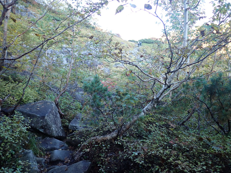 P9214565_mid.jpg