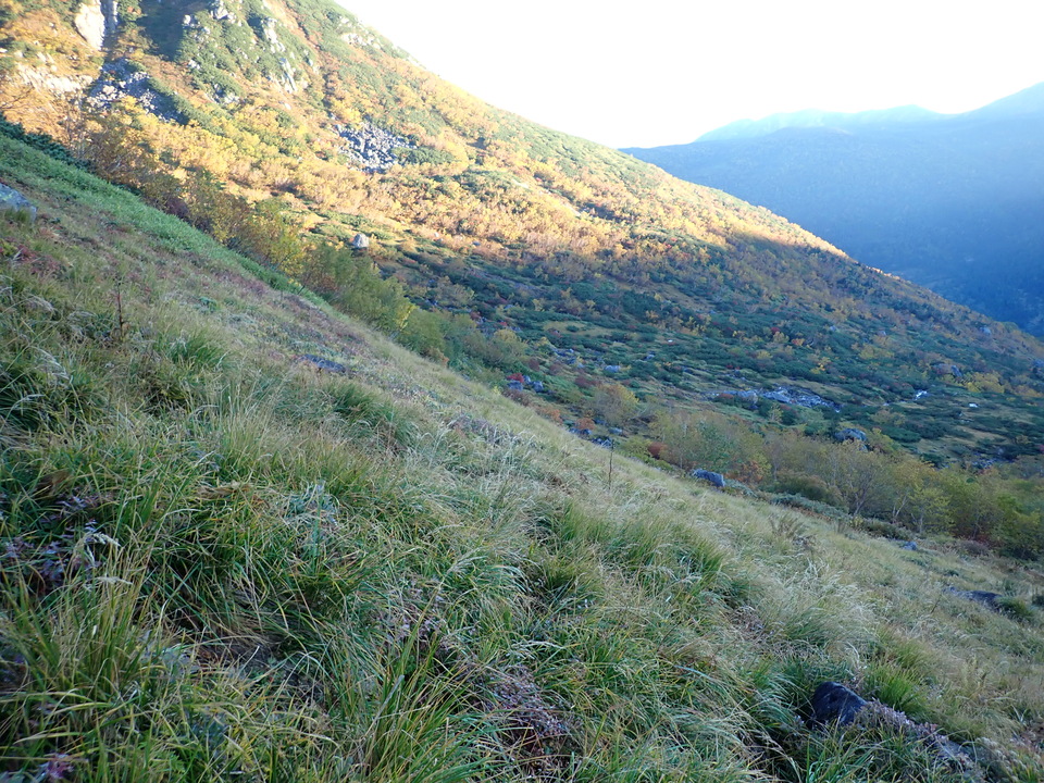 P9214578_mid.jpg