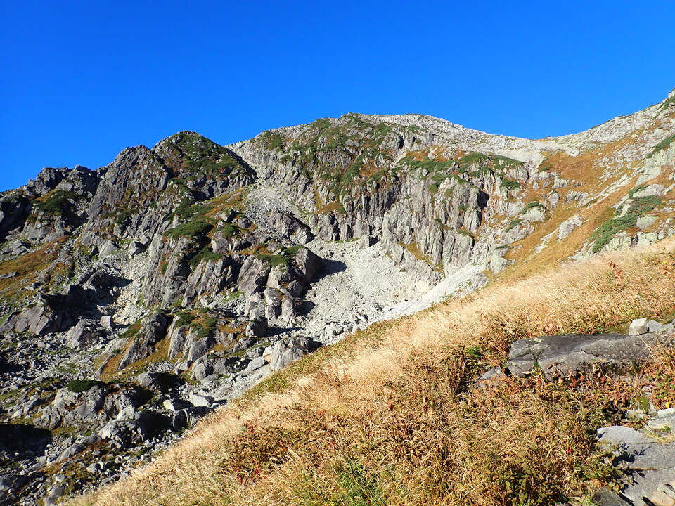 P9214598_mid.jpg
