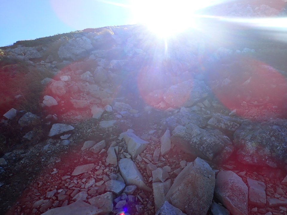 P9214659_mid.jpg