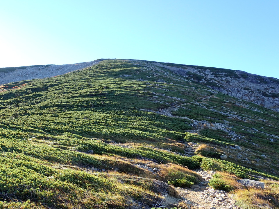 P9214670_mid.jpg