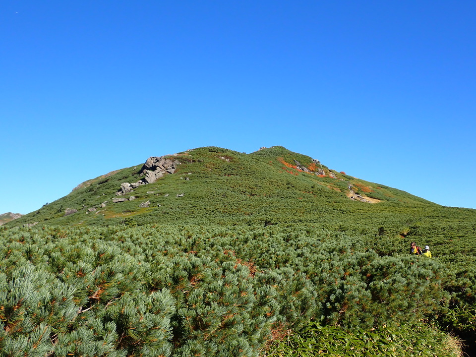 P9214689_mid.jpg