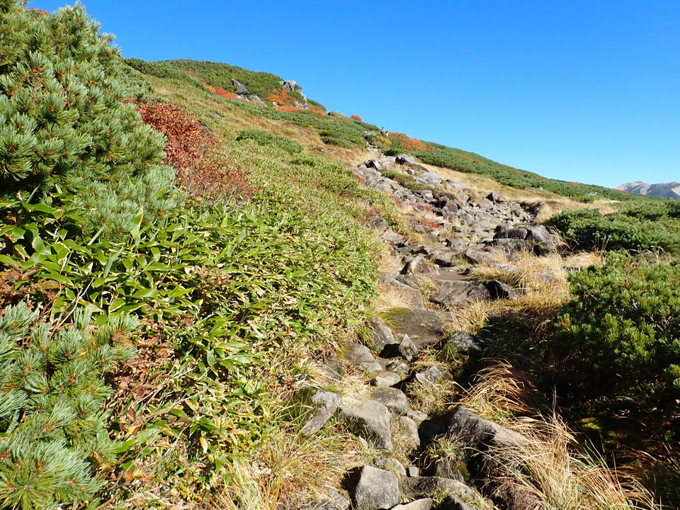 P9214692_mid.jpg