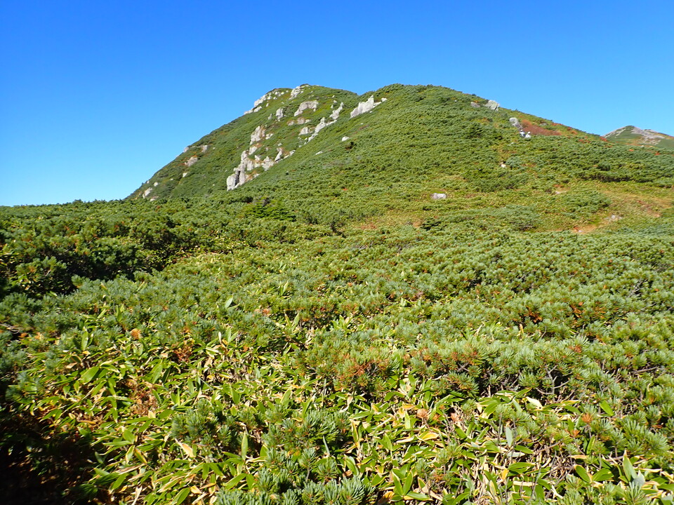 P9214721_mid.jpg