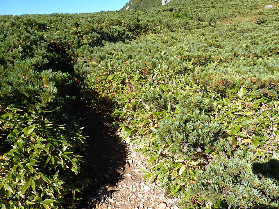 P9214722_mid.jpg