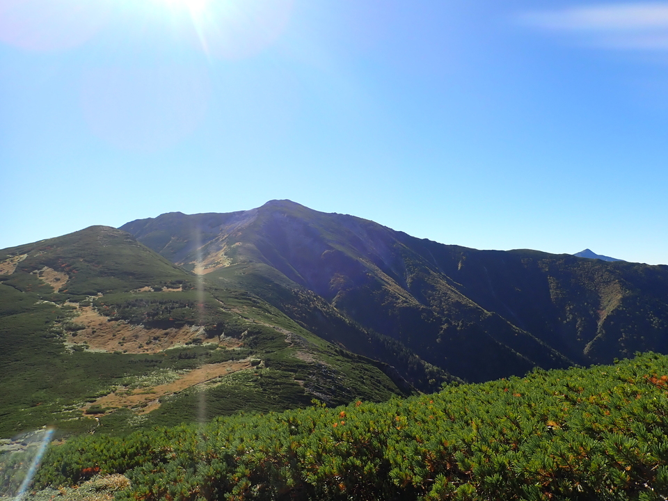P9214725_mid.jpg