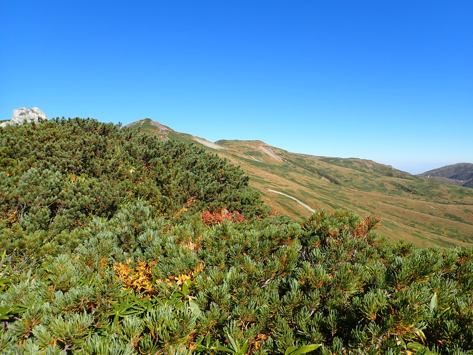 P9214730_mid.jpg