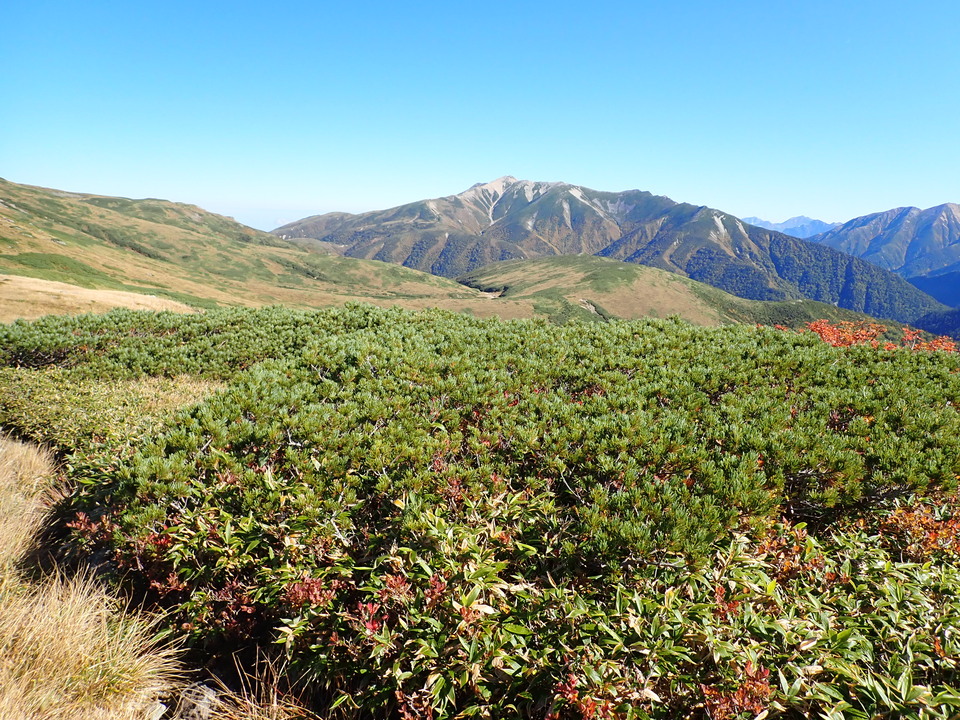 P9214740_mid.jpg