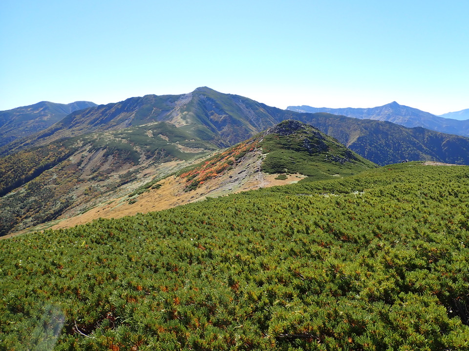 P9214775_mid.jpg