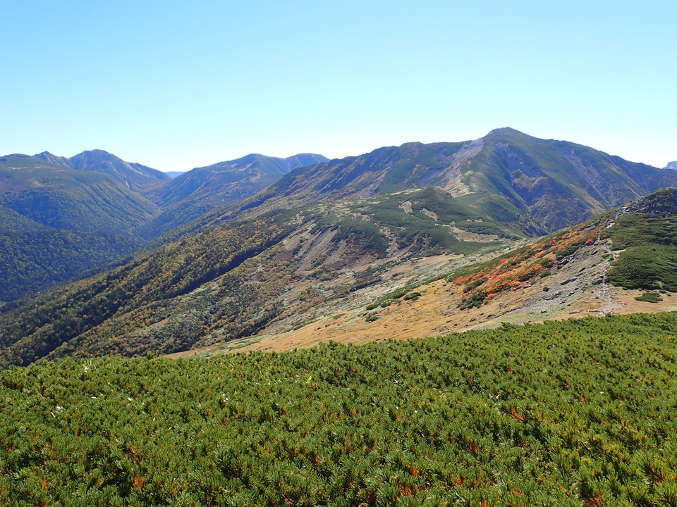 P9214776_mid.jpg
