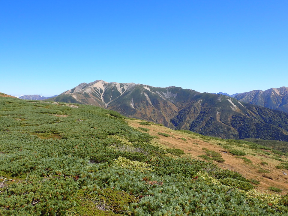 P9214795_mid.jpg