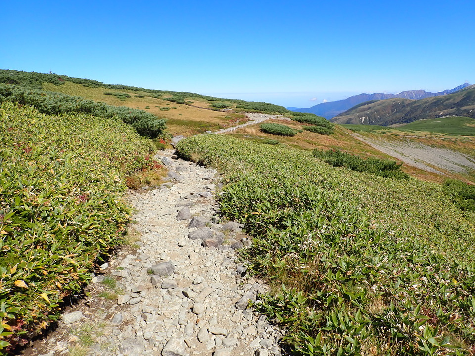 P9214813_mid.jpg