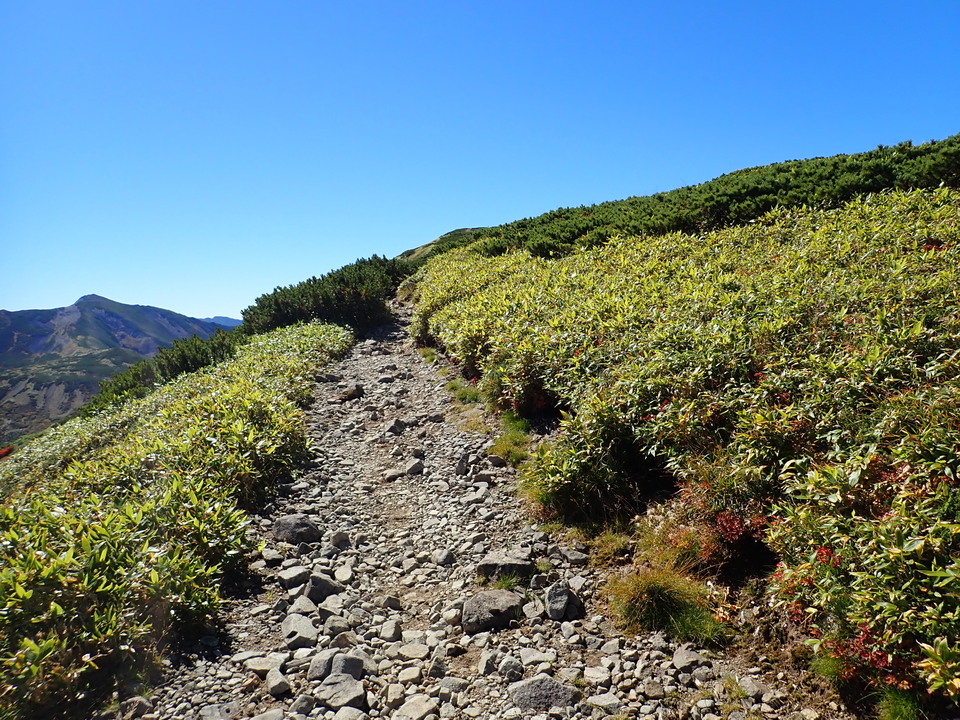 P9214816_mid.jpg