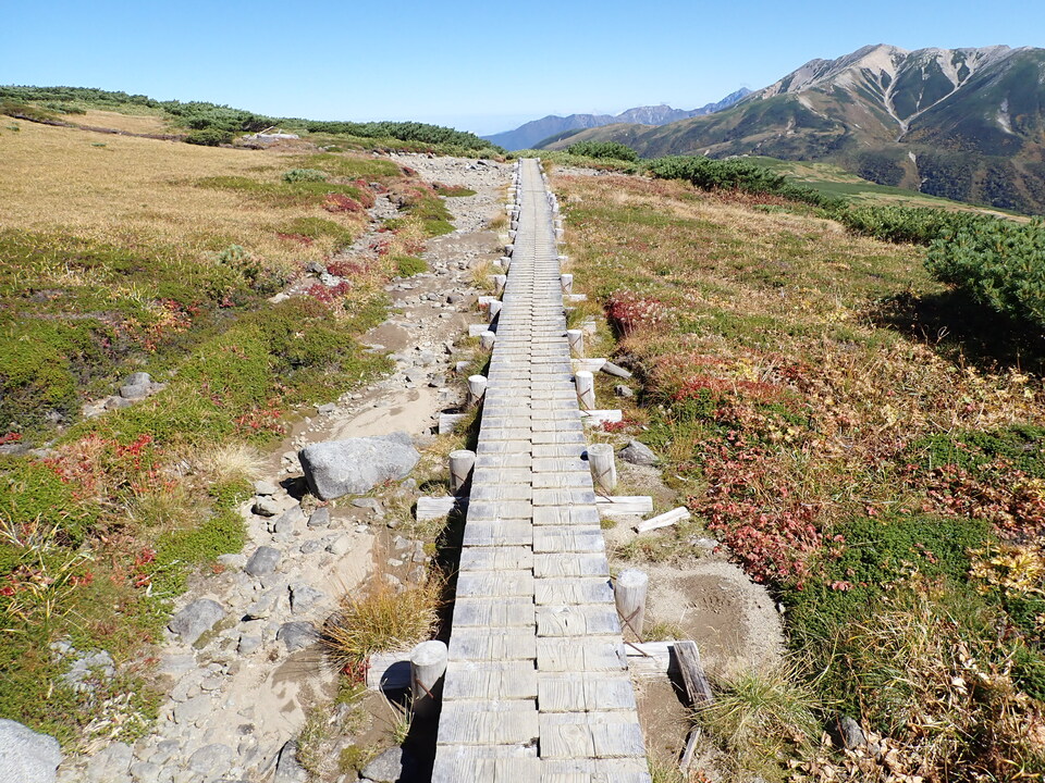P9214817_mid.jpg