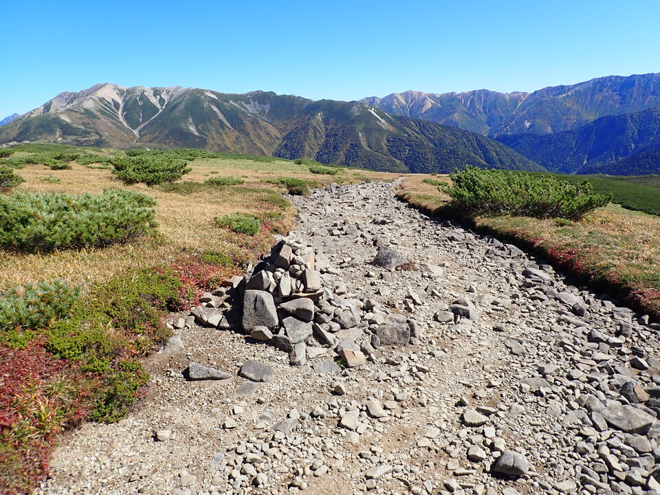 P9214822_mid.jpg