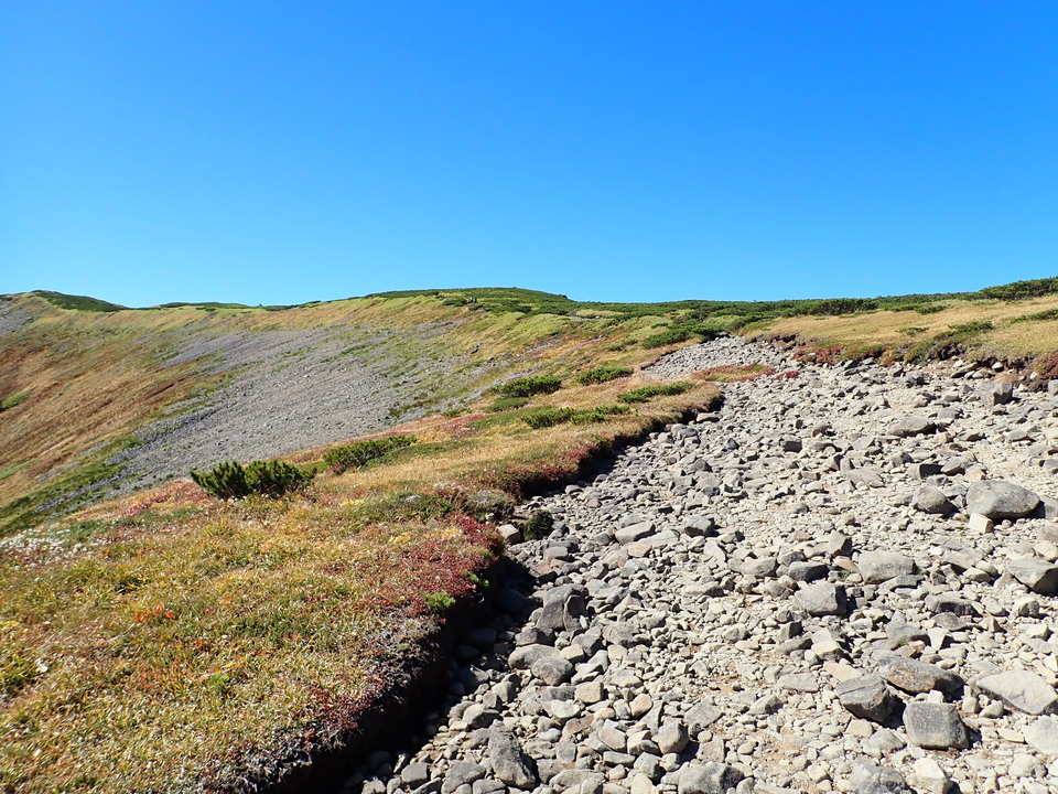P9214824_mid.jpg