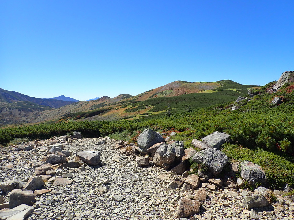 P9214828_mid.jpg