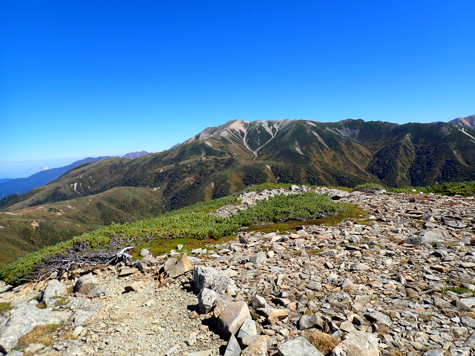 P9214831_mid.jpg