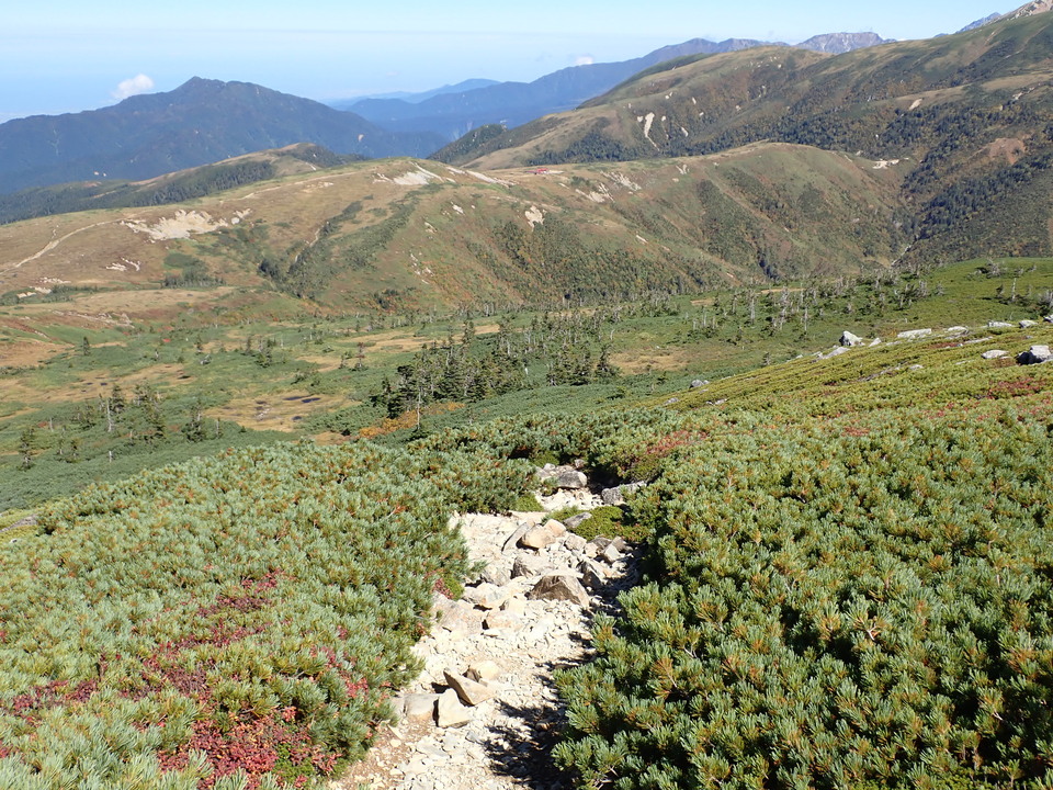 P9214833_mid.jpg