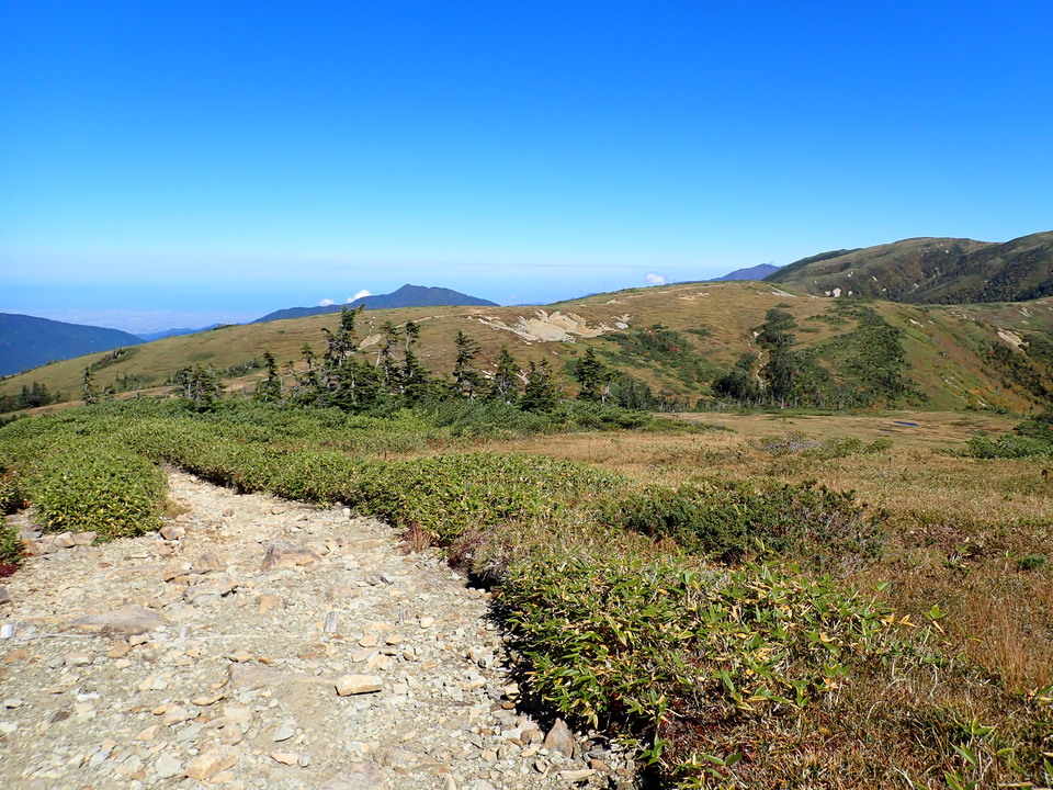 P9214849_mid.jpg