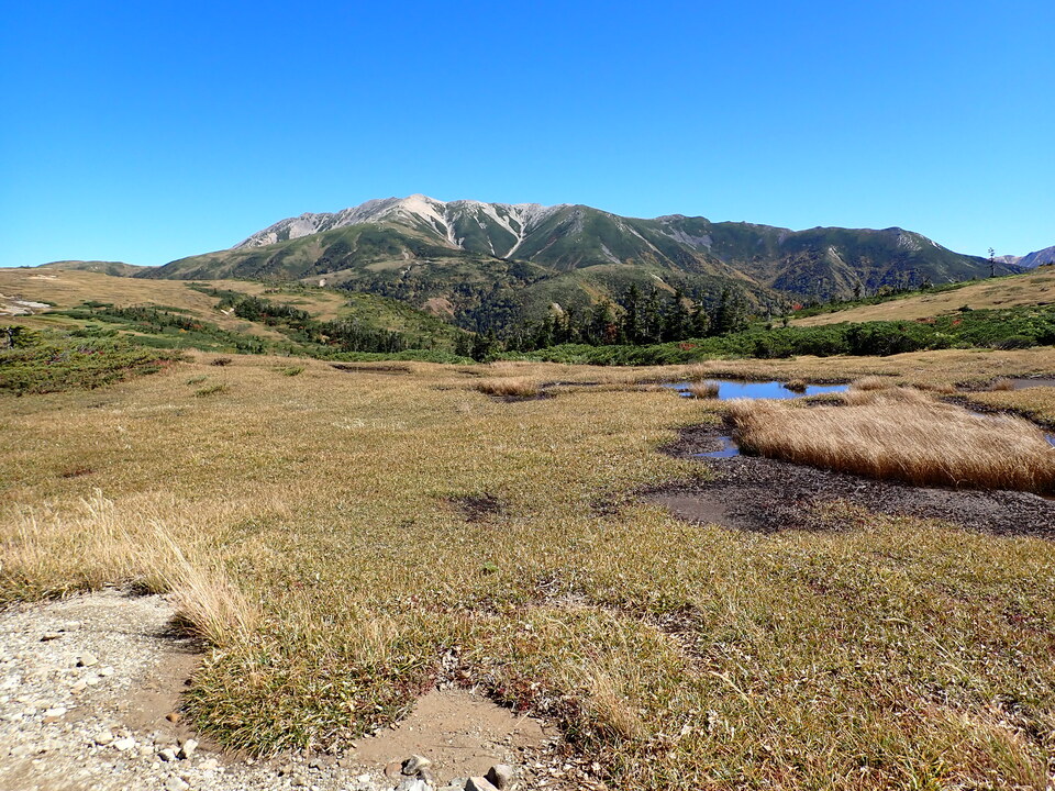 P9214855_mid.jpg