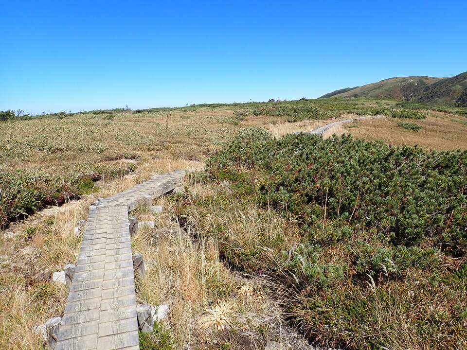 P9214864_mid.jpg