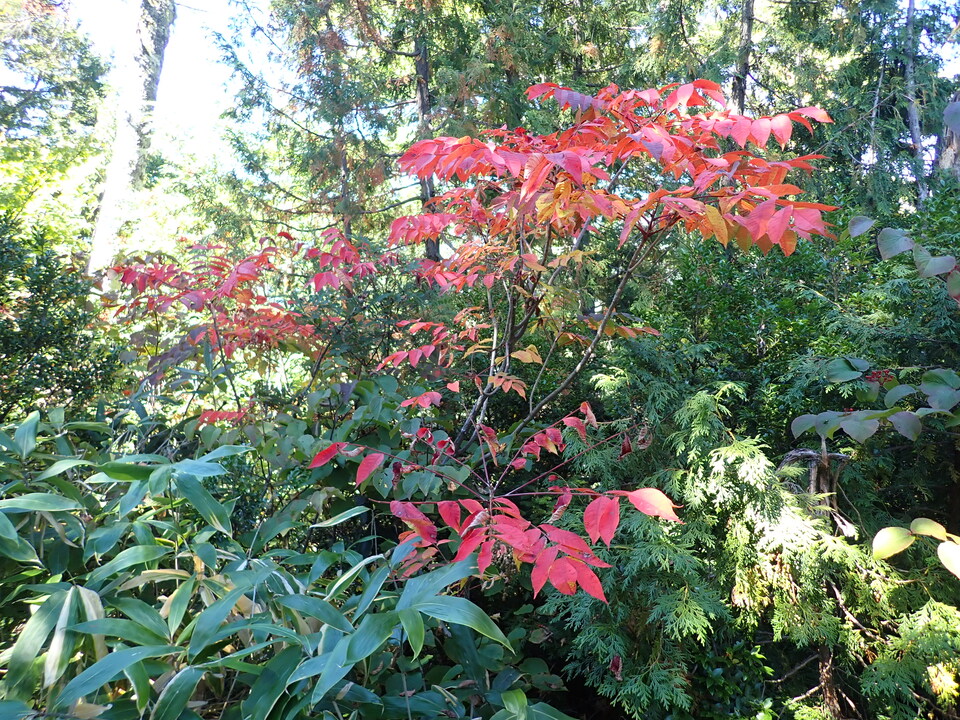 P9214912_mid.jpg