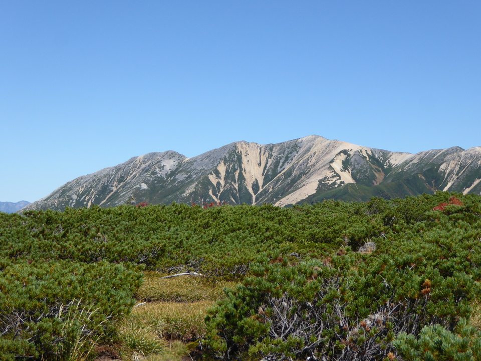 P1030130_mid.jpg