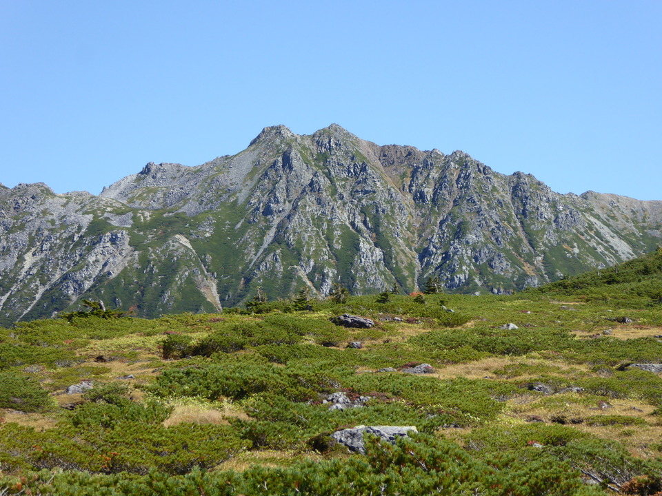 P1030133_mid.jpg