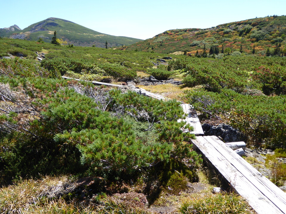 P1030136_mid.jpg