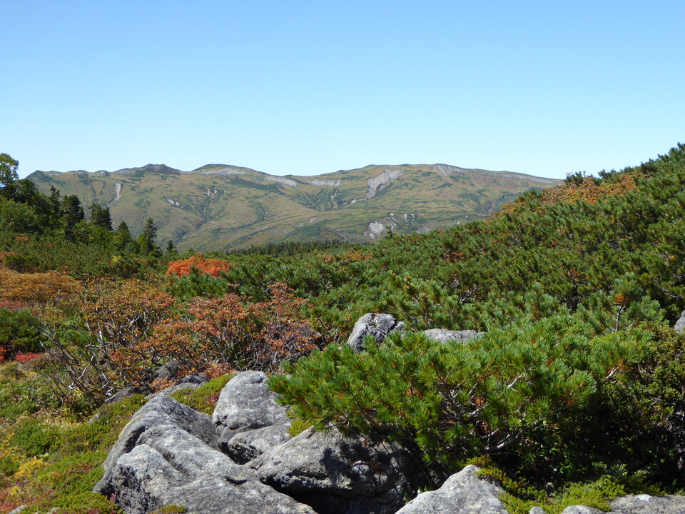 P1030146_mid.jpg