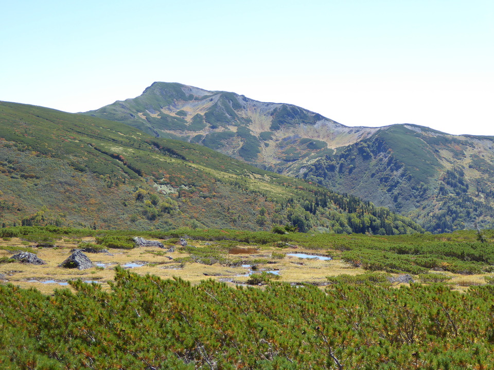 P1030150_mid.jpg