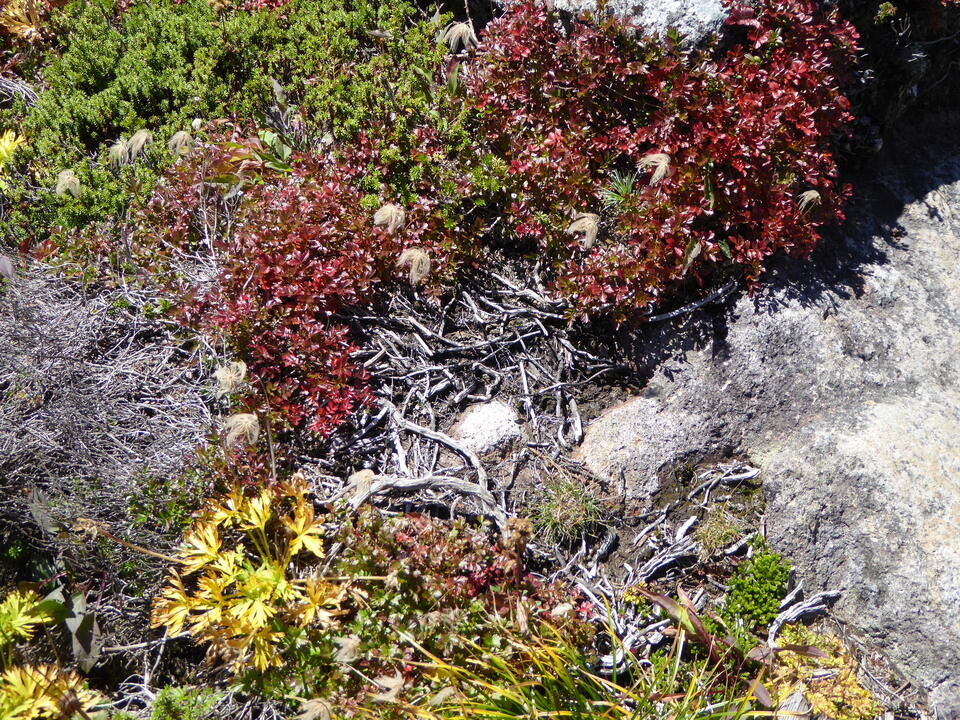 P1030156_mid.jpg