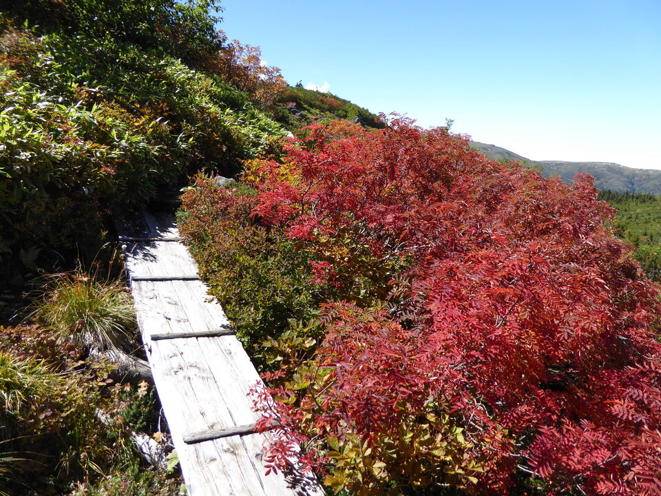 P1030164_mid.jpg