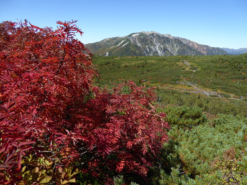 P1030165_mid.jpg