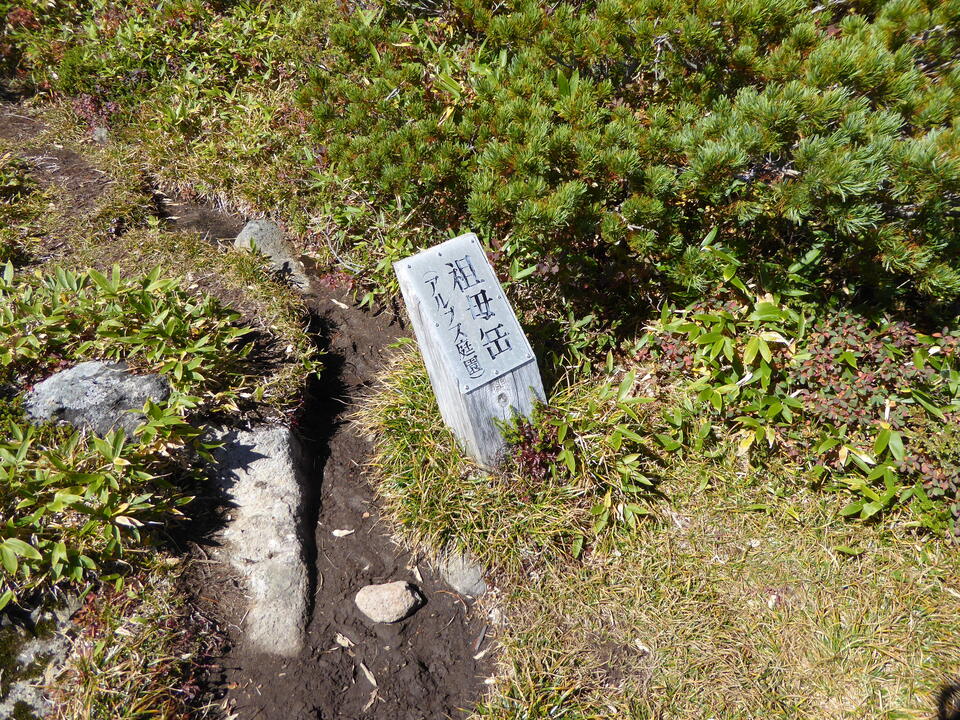 P1030170_mid.jpg
