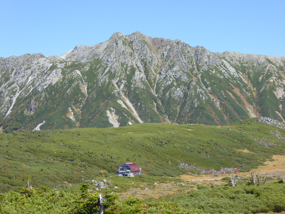 P1030175_mid.jpg
