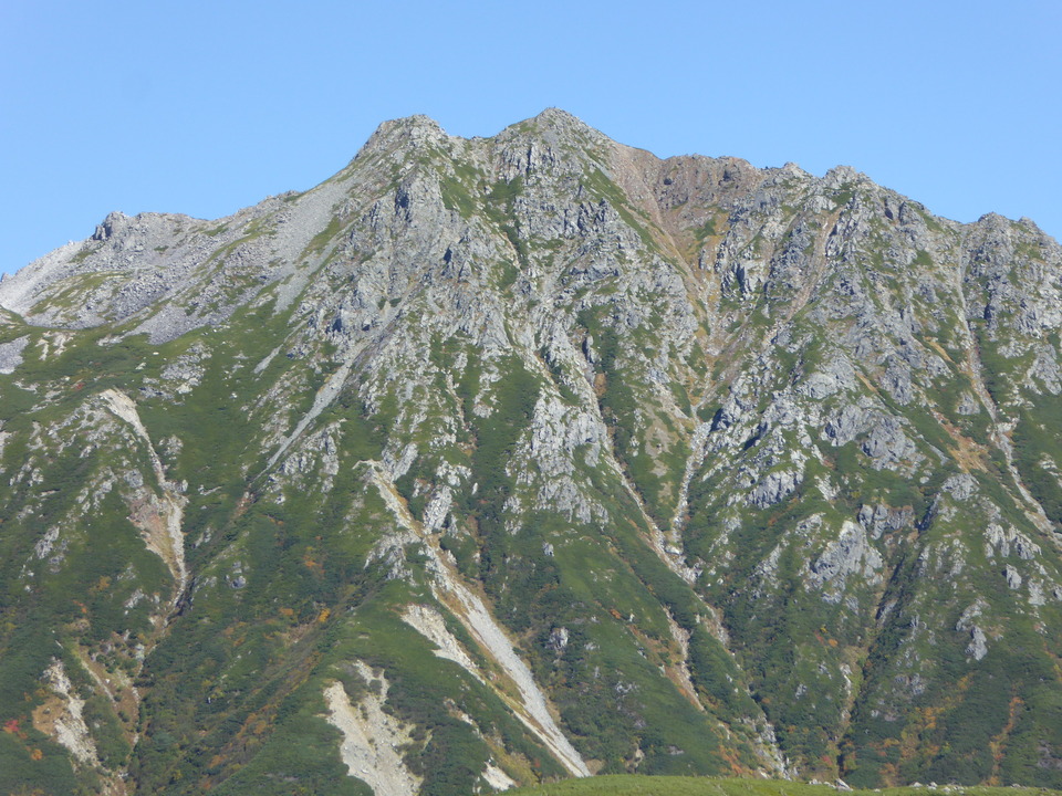 P1030176_mid.jpg