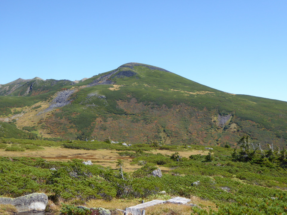 P1030177_mid.jpg