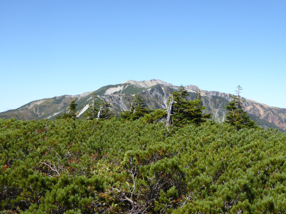 P1030182_mid.jpg